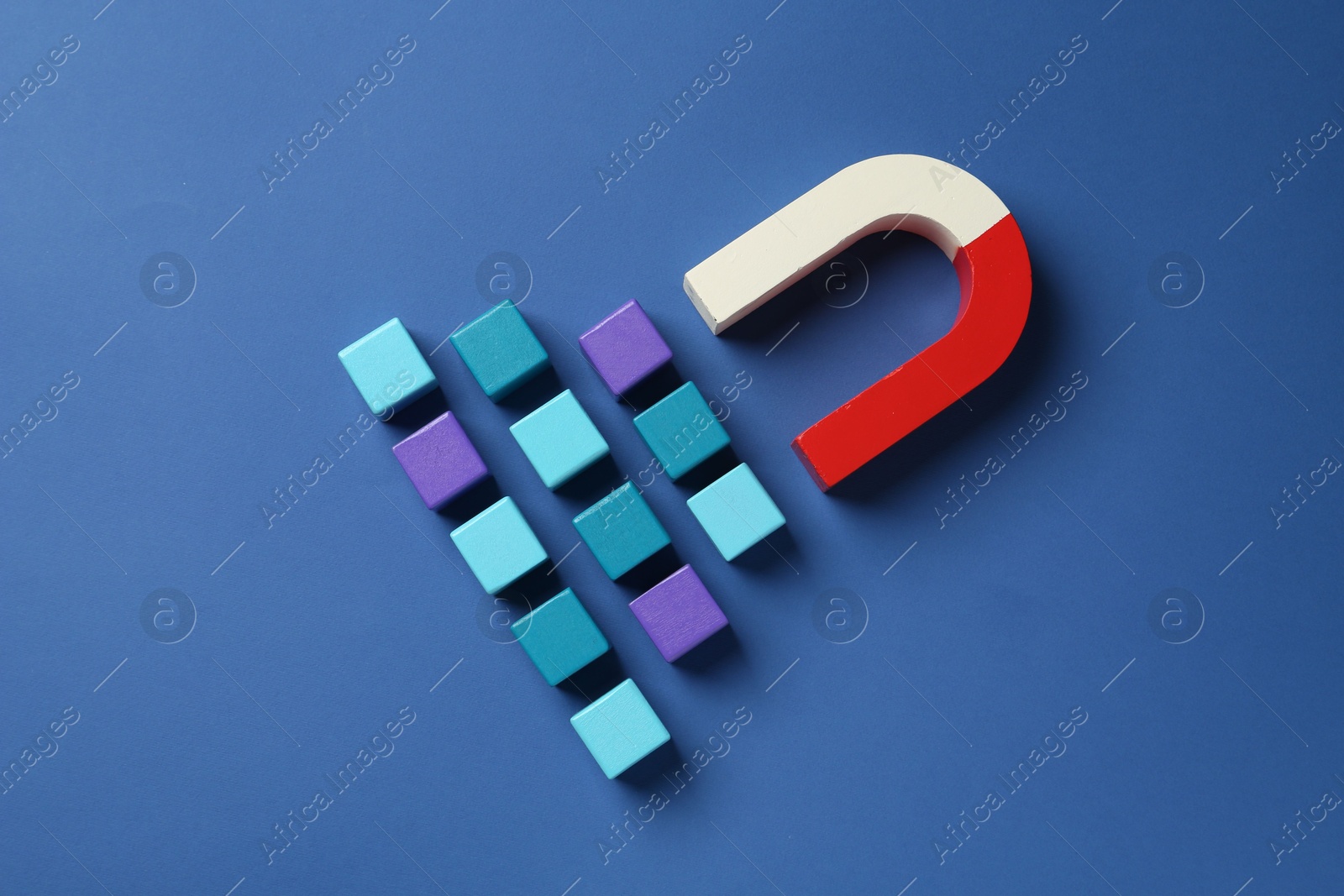 Photo of Magnet attracting colorful cubes on blue background, flat lay