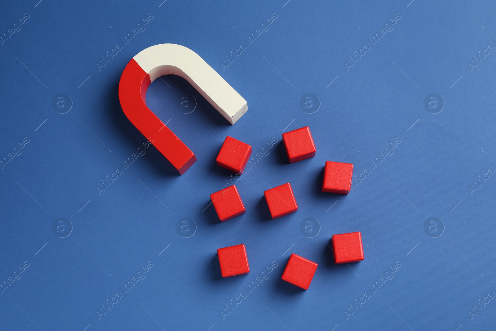 Photo of Magnet attracting red cubes on blue background, flat lay