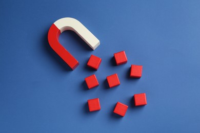 Photo of Magnet attracting red cubes on blue background, flat lay