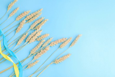 Photo of Ears of wheat with ribbons in colors of Ukrainian national flag on light blue background, flat lay. Space for text