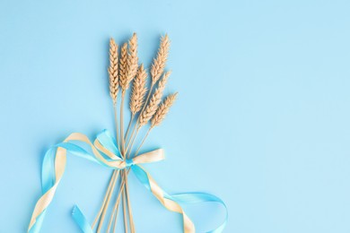 Photo of Ears of wheat with ribbons in colors of Ukrainian national flag on light blue background, top view. Space for text