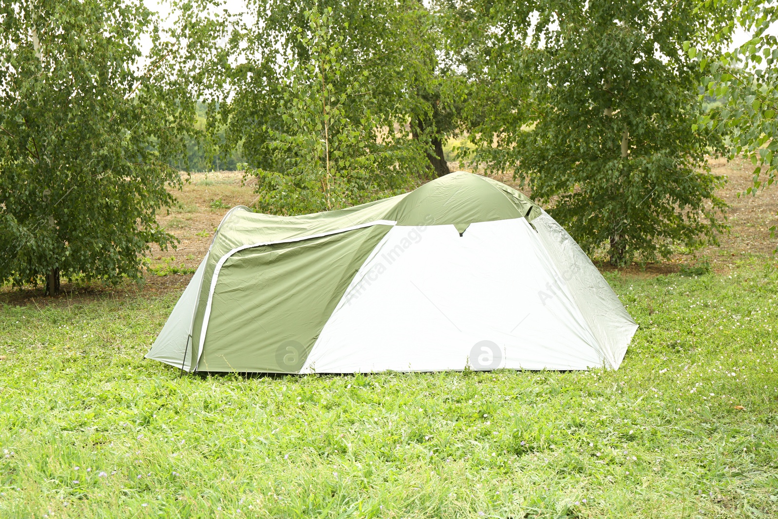 Photo of One camping tent on green grass outdoors