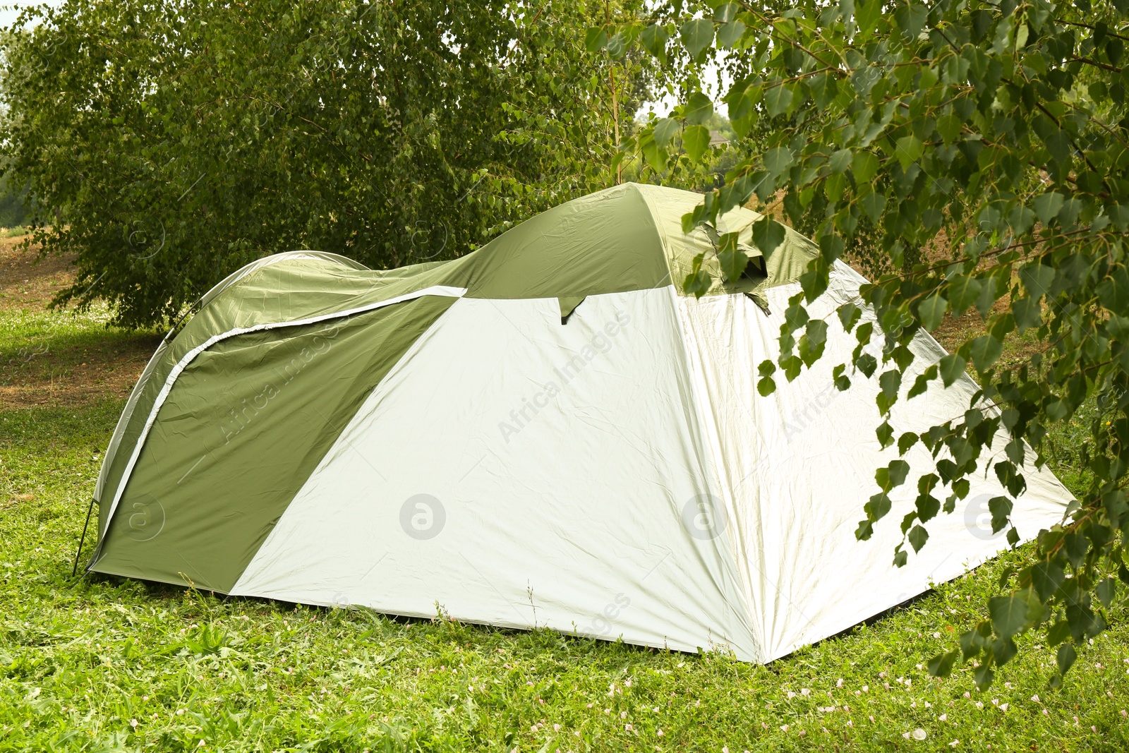 Photo of One camping tent on green grass outdoors