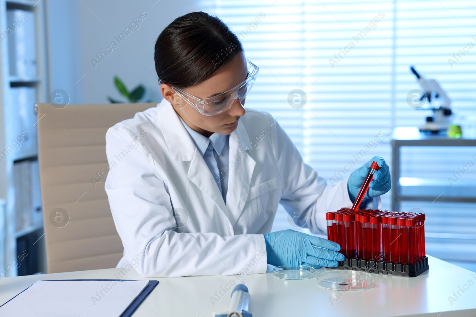 Photo of Laboratory testing. Doctor taking test tube with blood sample from rack at table indoors