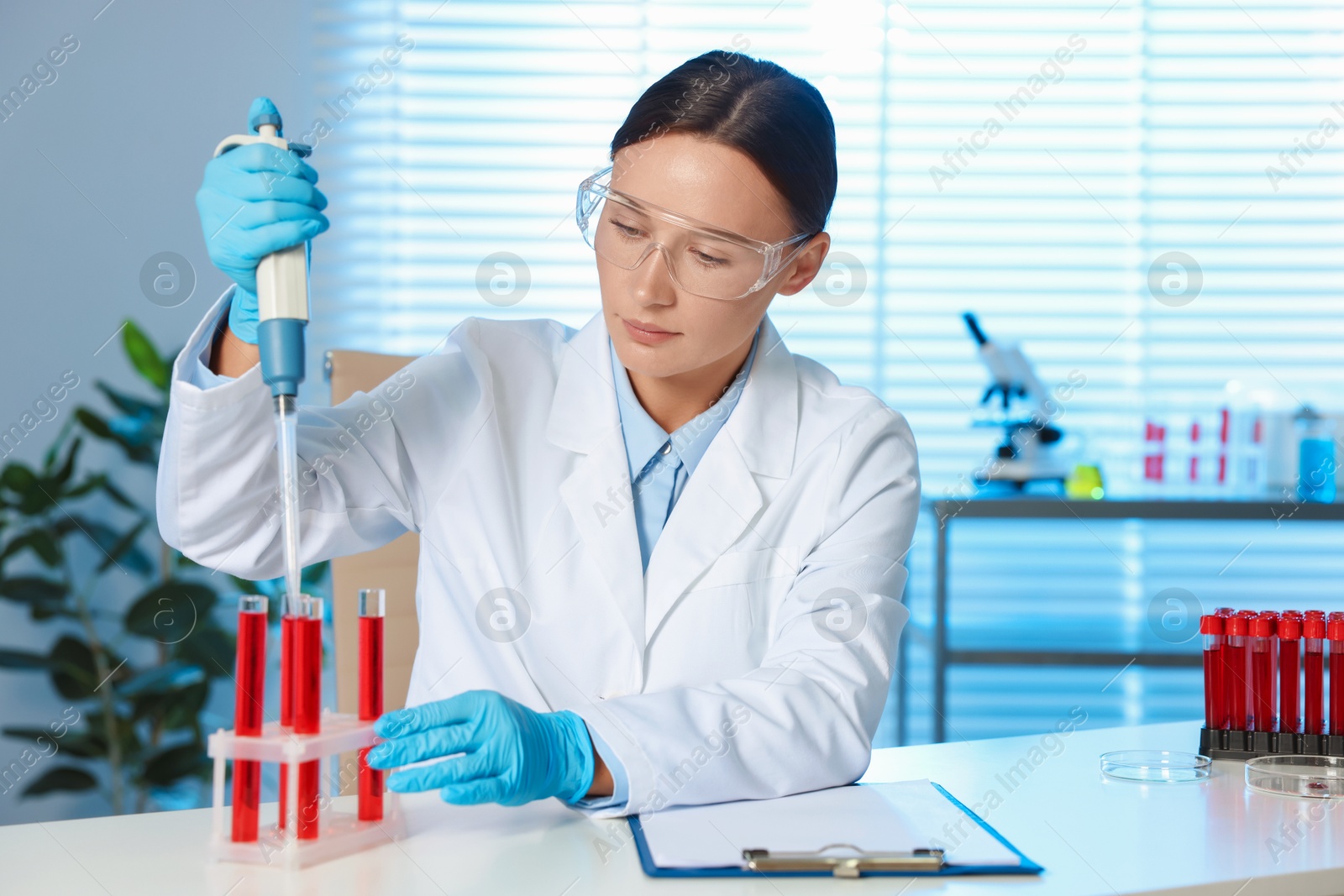 Photo of Laboratory testing. Doctor dripping blood sample into test tube at table indoors