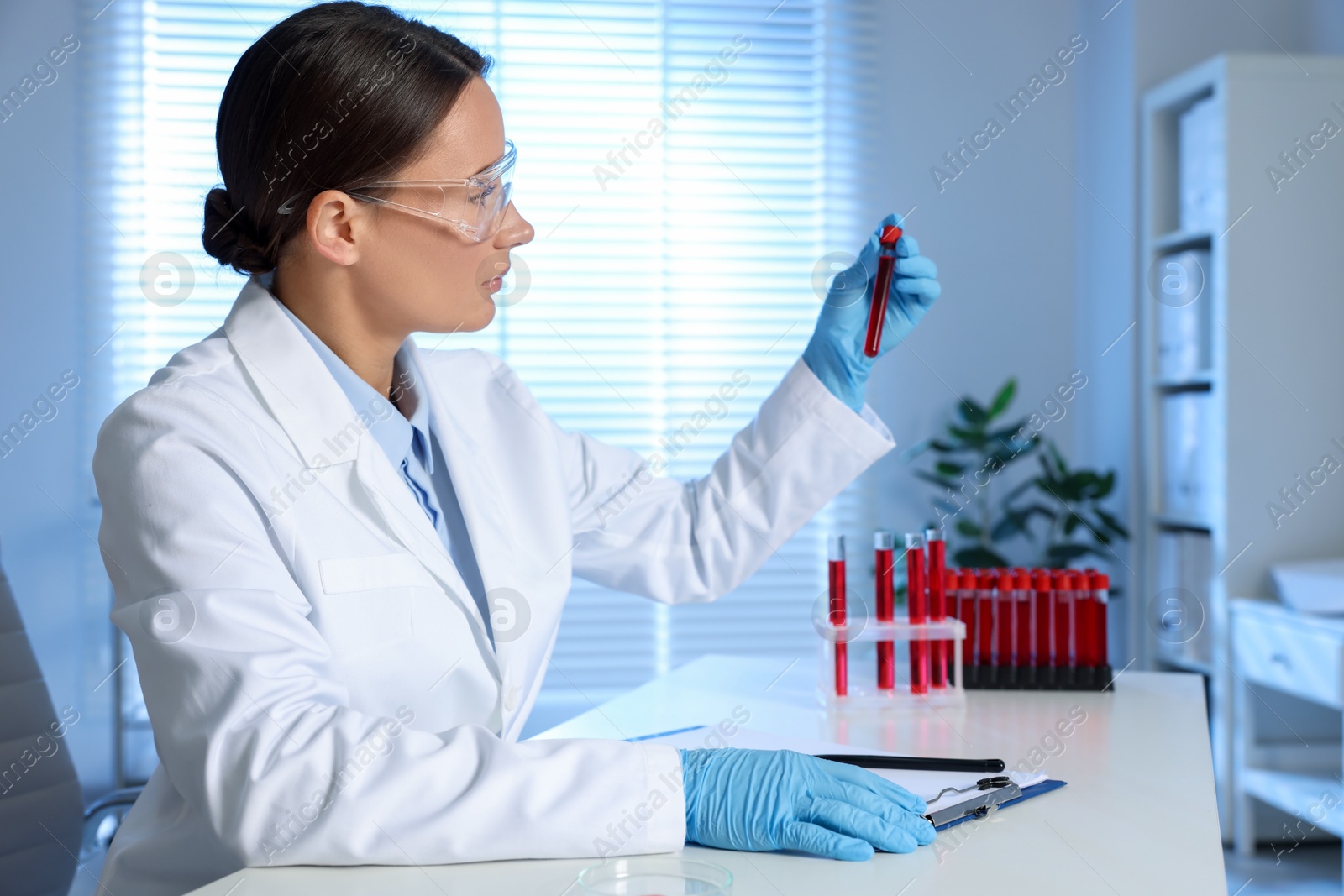 Photo of Laboratory testing. Doctor holding test tube with blood sample at table indoors