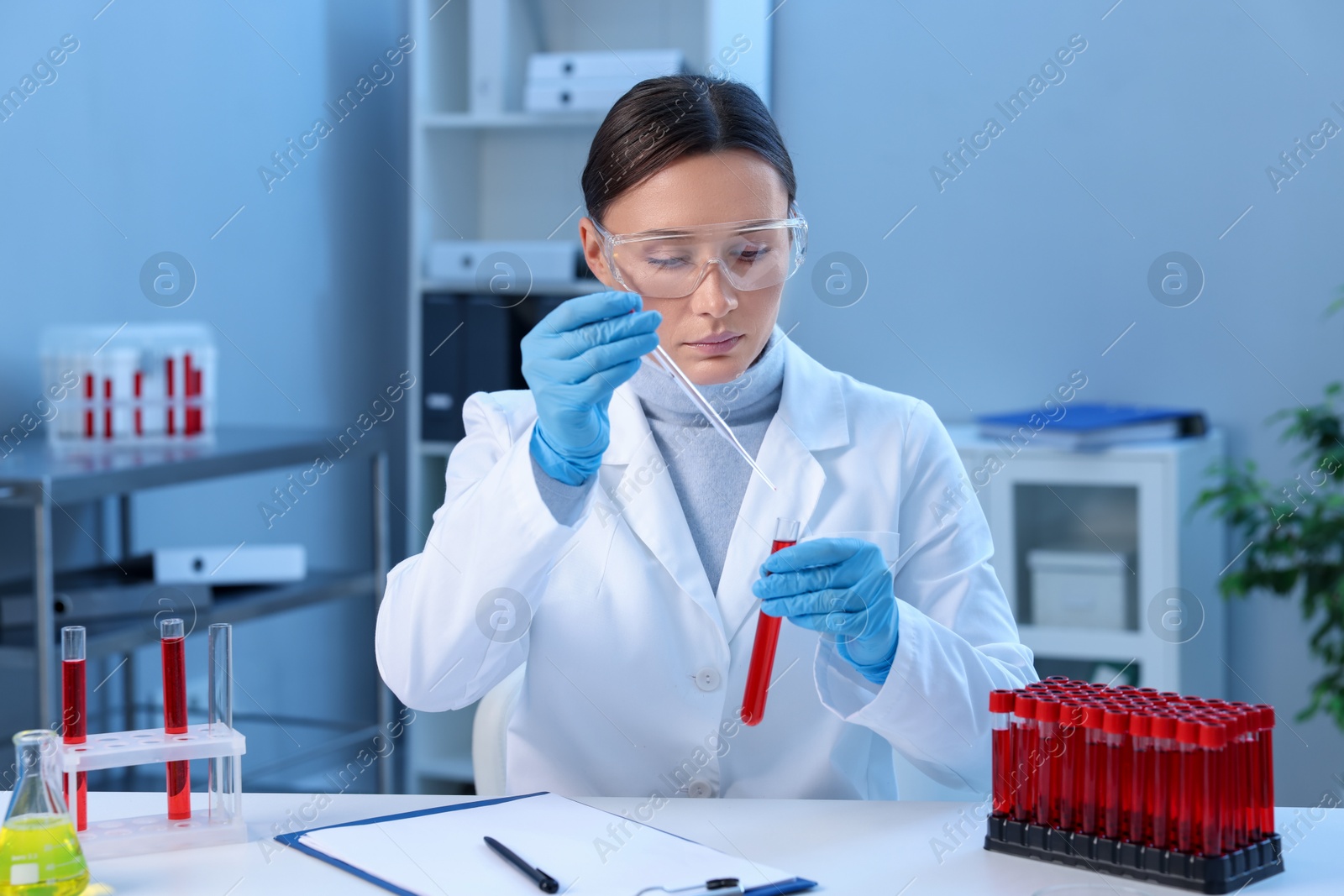 Photo of Laboratory testing. Doctor dripping blood sample into test tube at table indoors