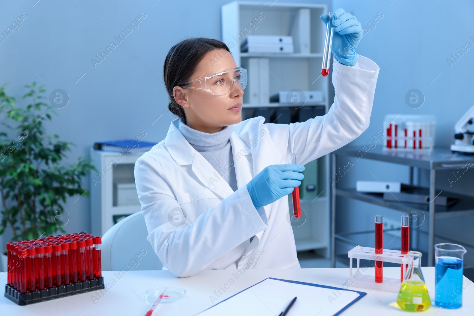 Photo of Laboratory testing. Doctor holding test tubes with blood samples at table indoors