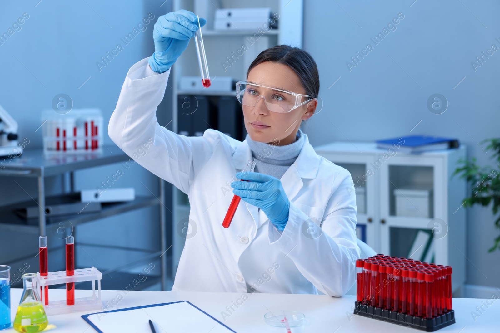 Photo of Laboratory testing. Doctor holding test tubes with blood samples at table indoors