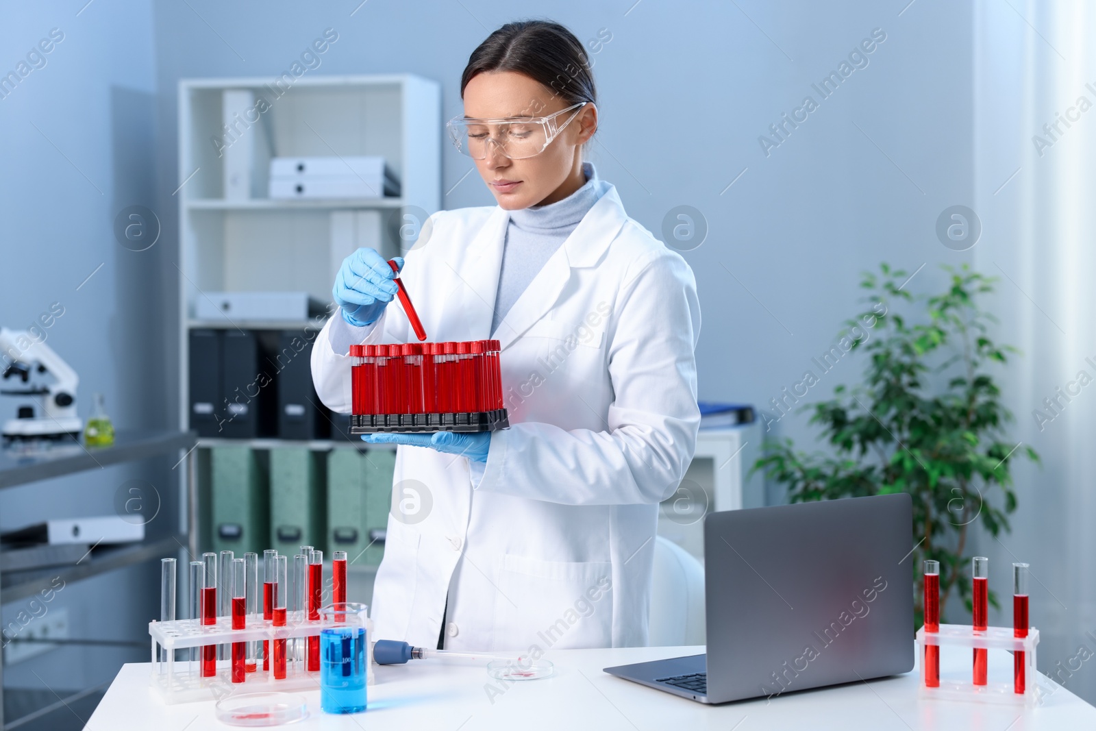 Photo of Laboratory testing. Doctor with blood samples in tubes indoors