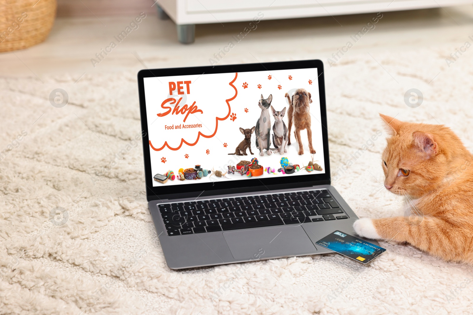 Image of Laptop with open online pet shop website. Cute ginger cat touching computer with paw at home