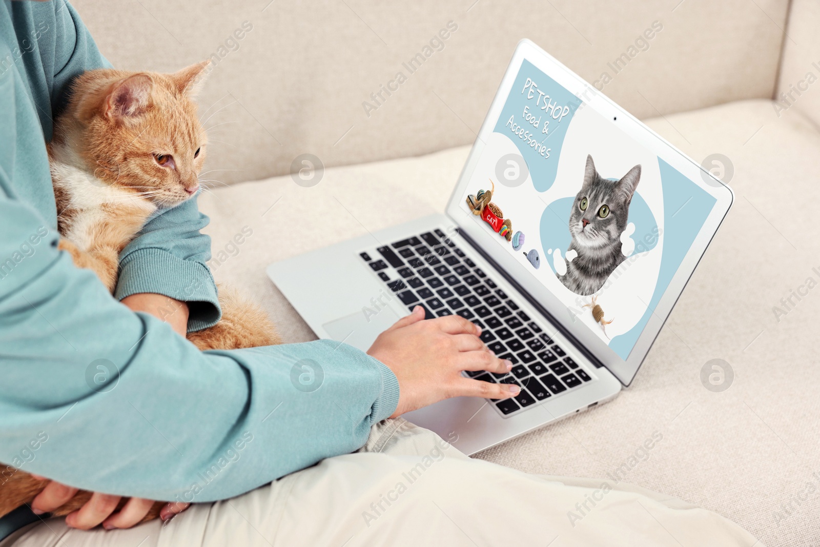 Image of Woman holding her cute cat while shopping online on laptop at home, closeup. Computer with open pet shop website