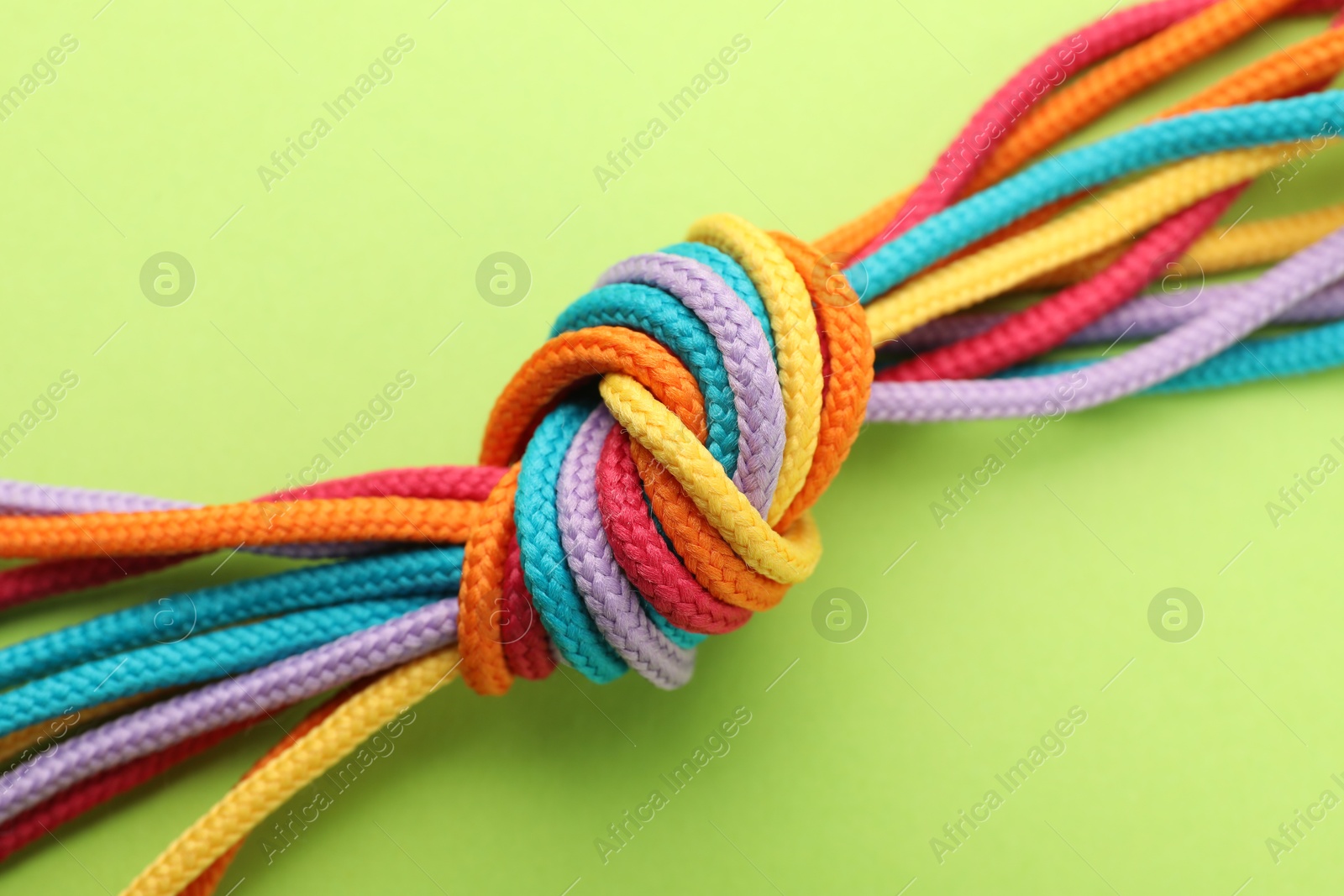 Photo of Colorful ropes tied in knot on light green background, closeup. Unity concept