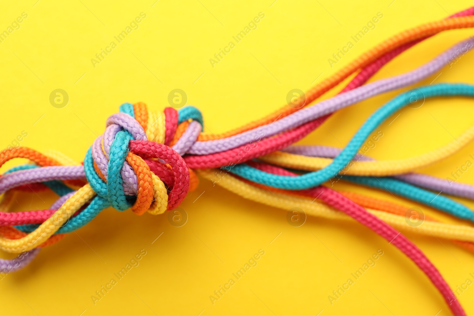 Photo of Colorful ropes tied in knot on yellow background, closeup. Unity concept