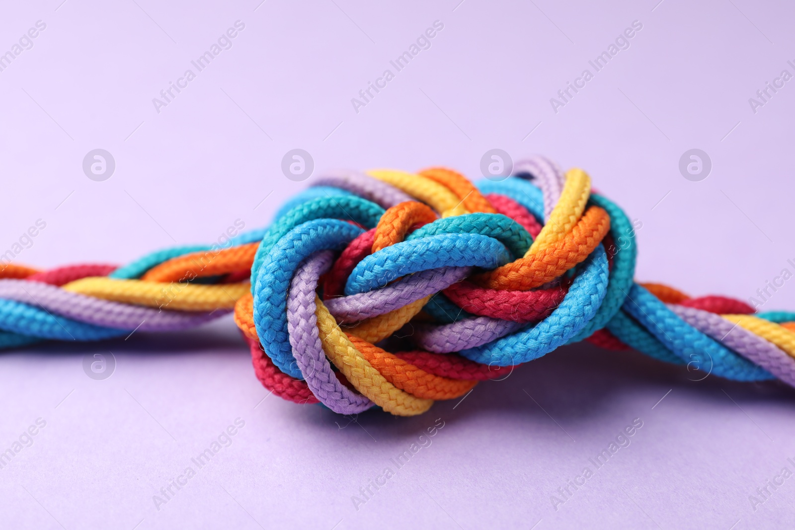 Photo of Colorful ropes tied in knot on lilac background, closeup. Unity concept