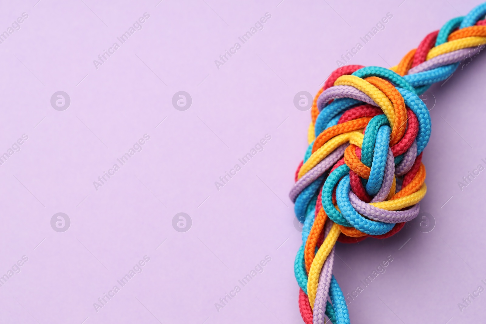 Photo of Colorful ropes tied in knot on lilac background, closeup with space for text. Unity concept