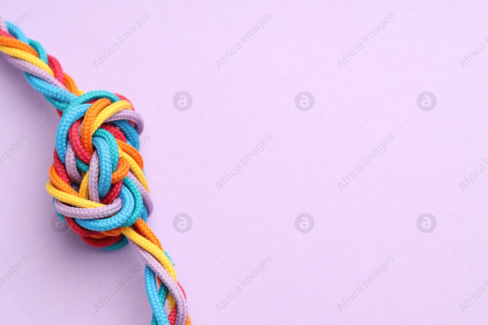 Photo of Colorful ropes tied in knot on lilac background, closeup with space for text. Unity concept