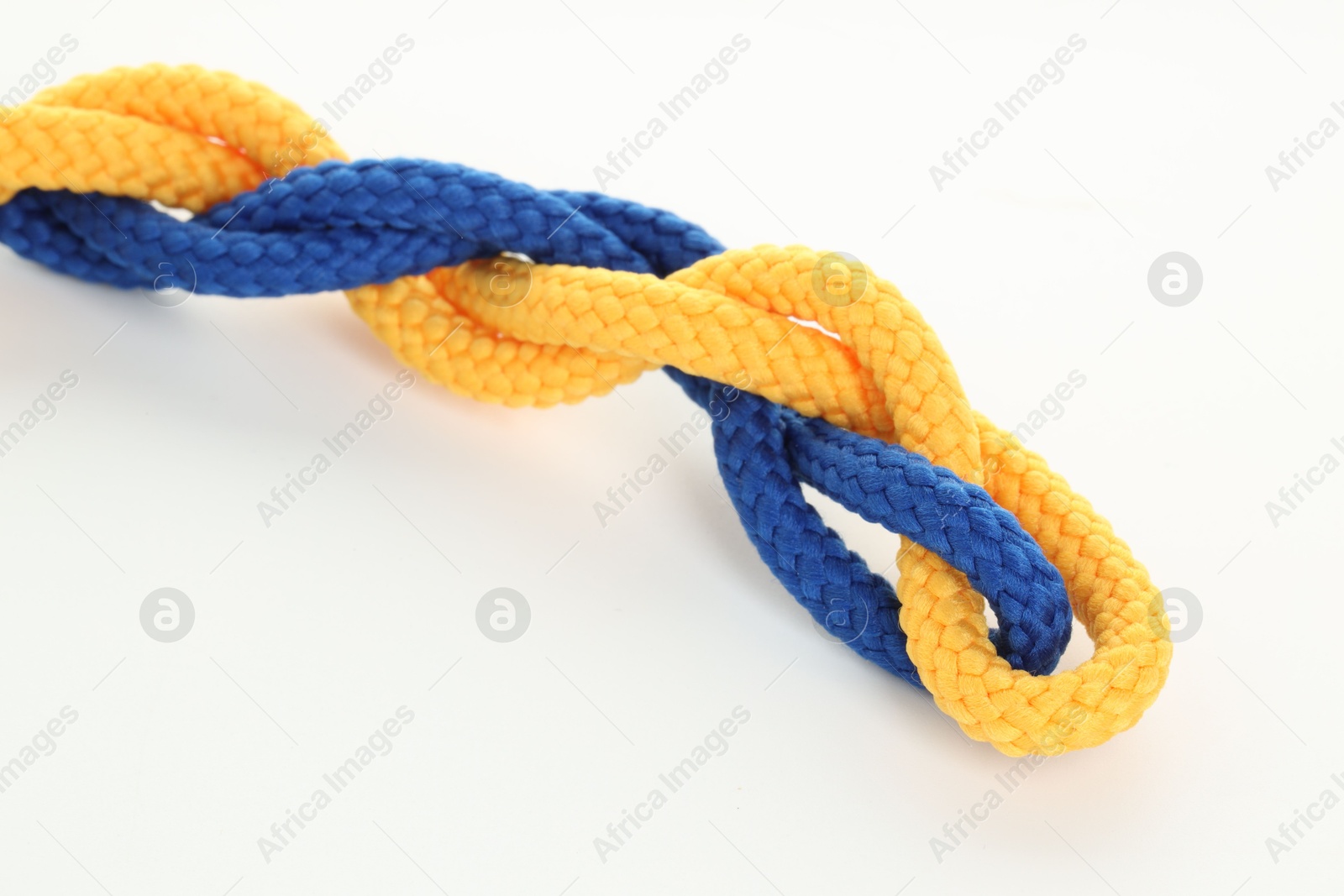 Photo of Colorful ropes tied together isolated on white. Unity concept