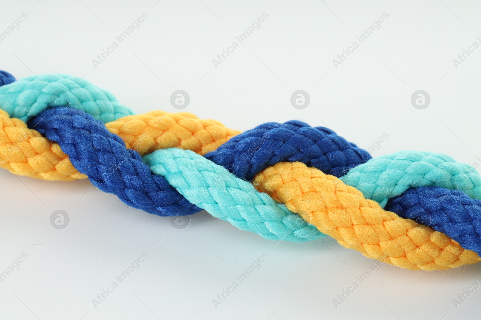 Photo of Braided colorful ropes isolated on white. Unity concept