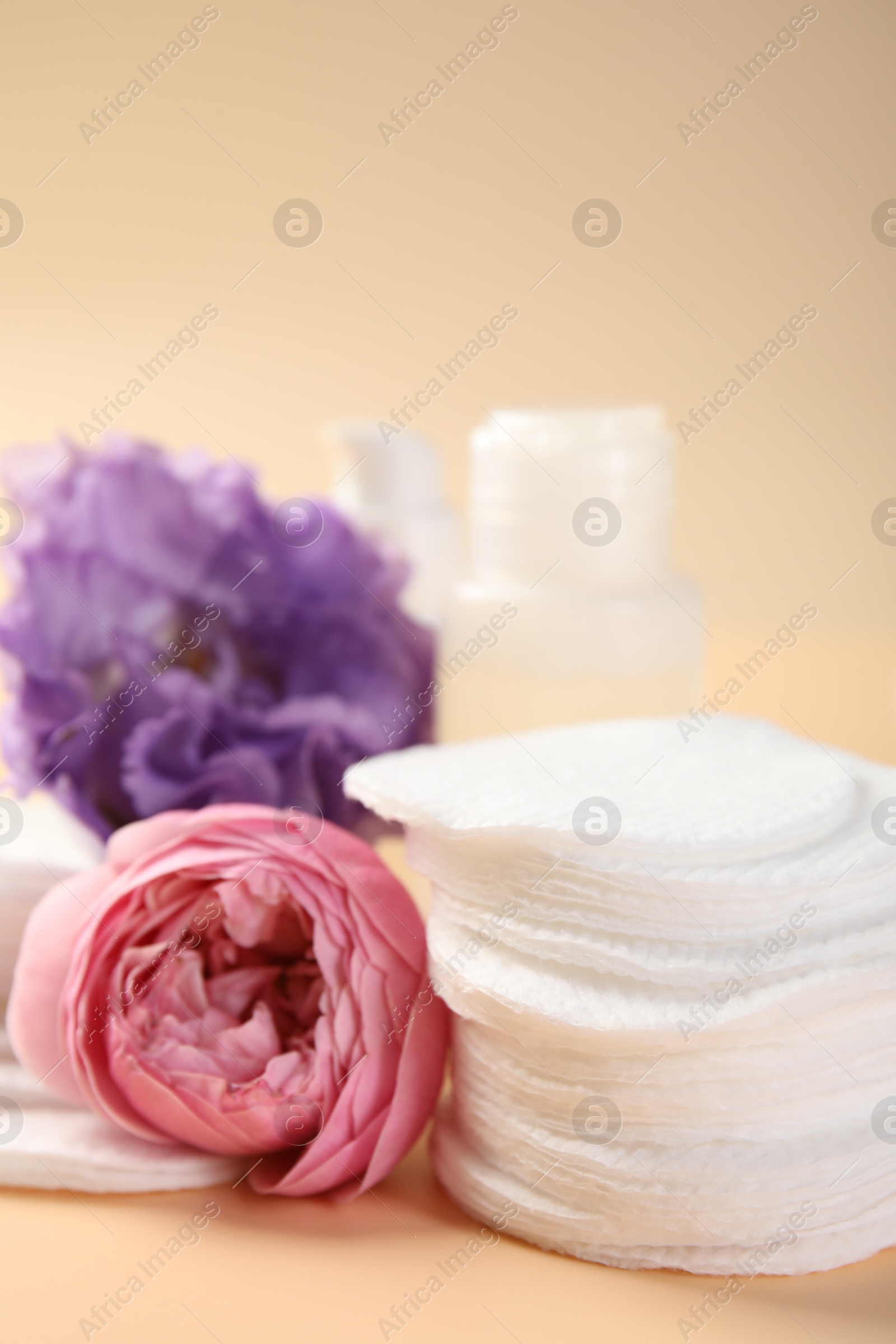 Photo of Cotton pads, cosmetic products and flowers on beige background, closeup