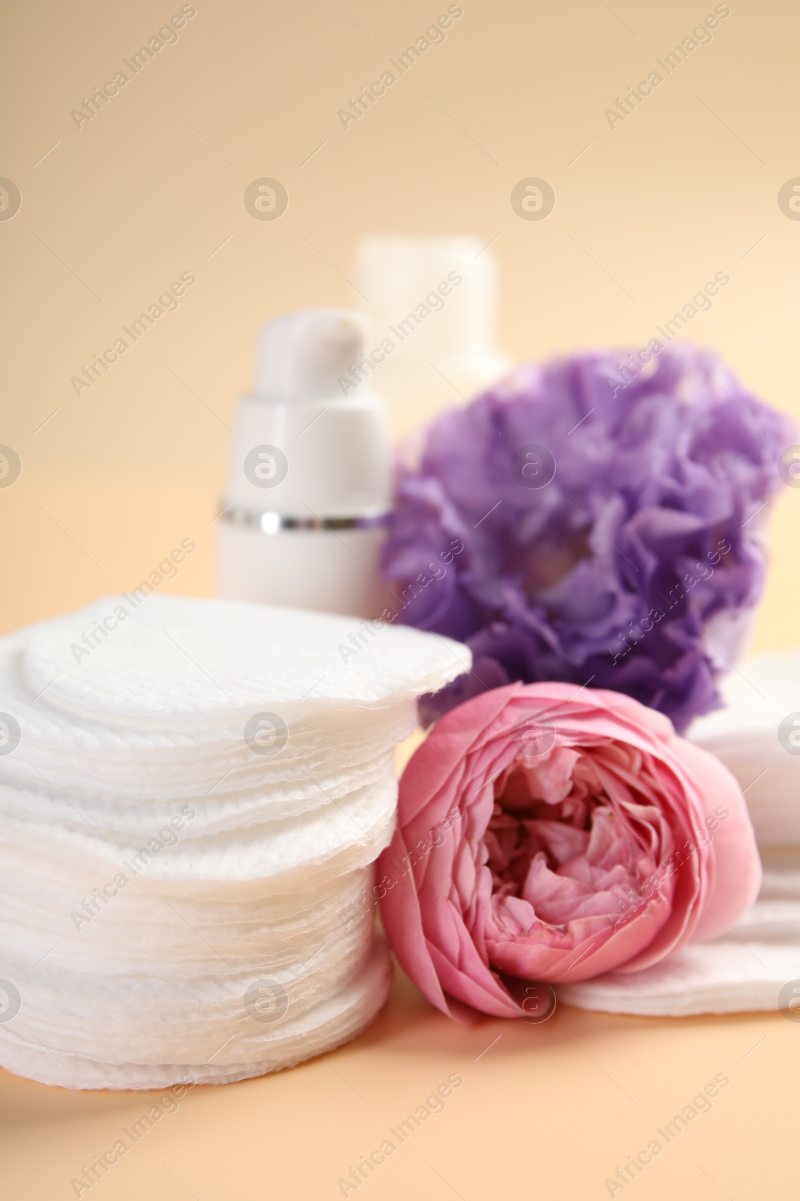 Photo of Cotton pads, cosmetic products and flowers on beige background, closeup