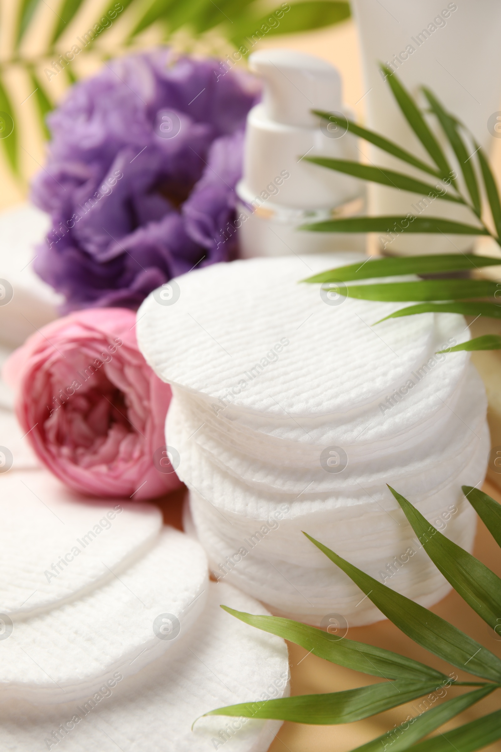 Photo of Cotton pads, cosmetic products, flowers and palm leaves on beige background, closeup