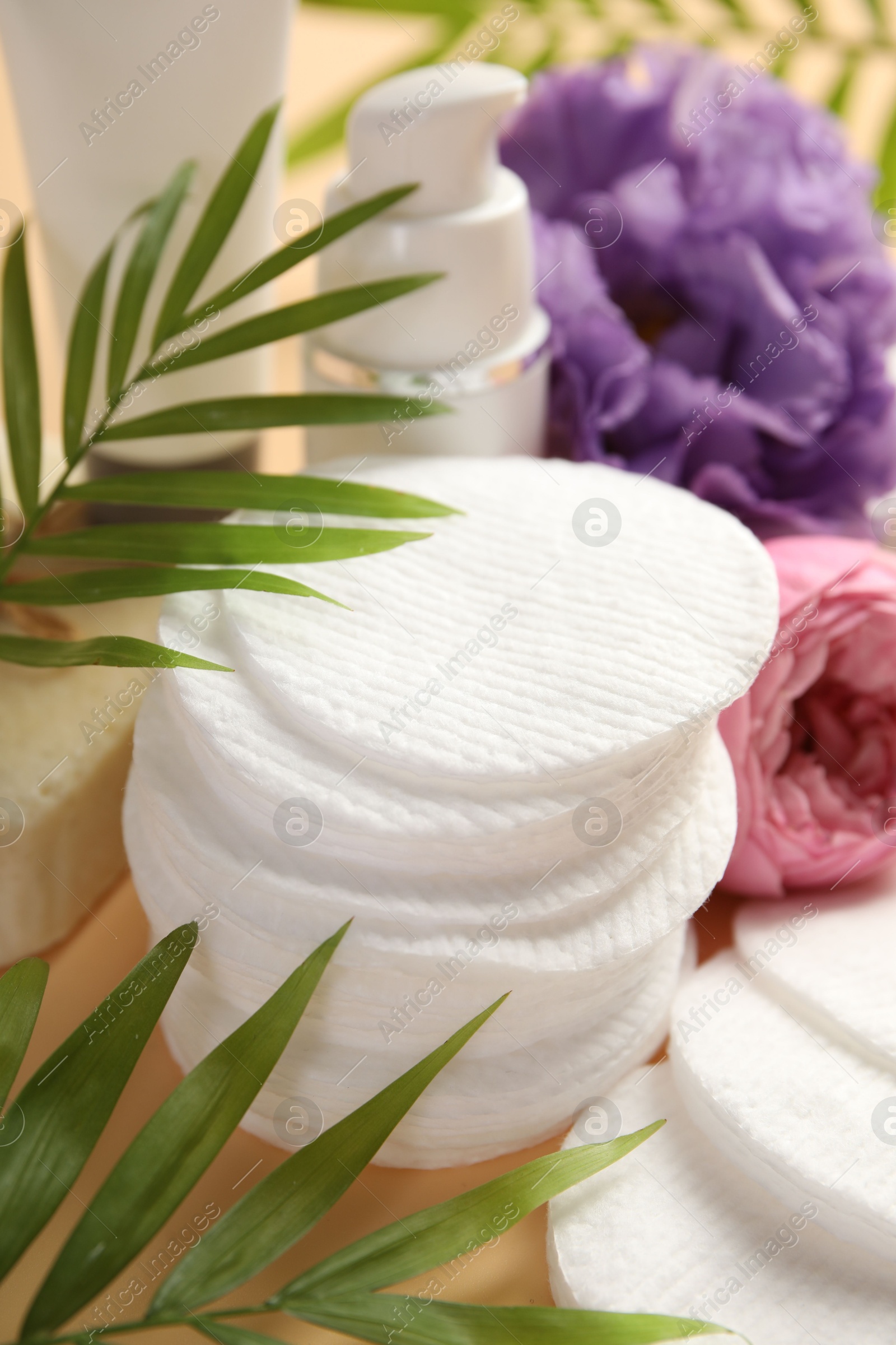 Photo of Cotton pads, cosmetic products, flowers and palm leaves on beige background, closeup