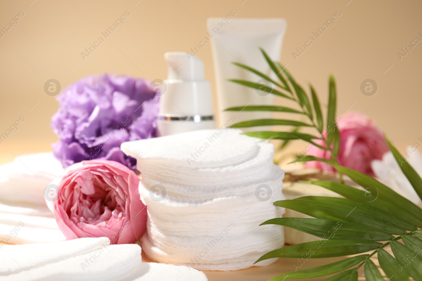 Photo of Cotton pads, cosmetic products, flowers and palm leaves on beige background, closeup