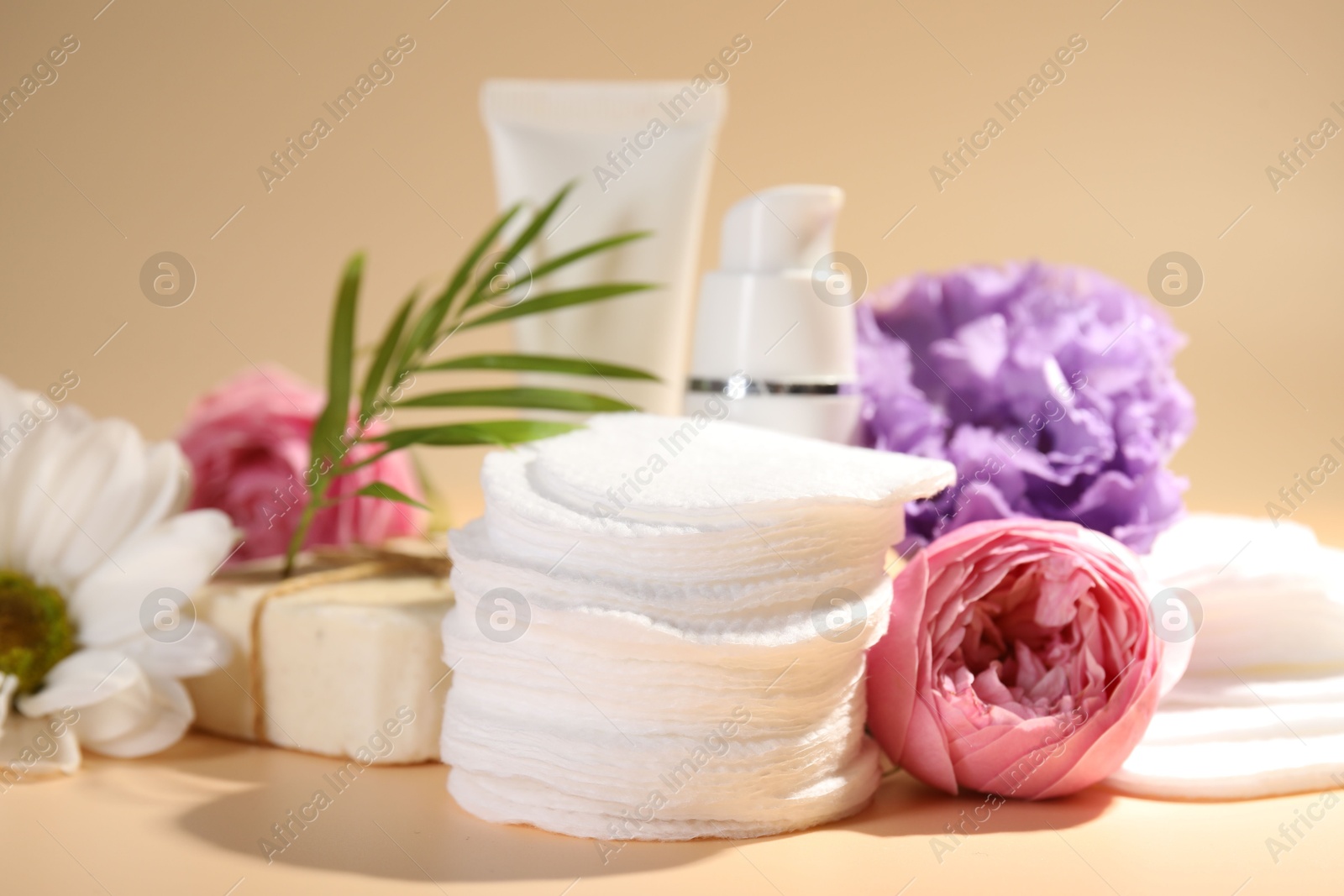 Photo of Cotton pads, cosmetic products, flowers and palm leaf on beige background, closeup