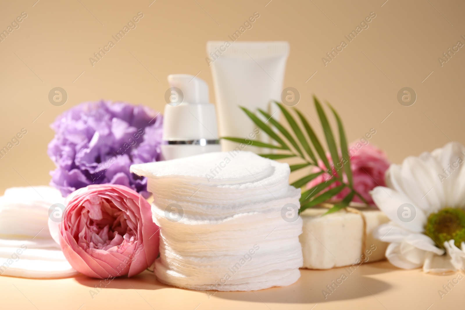 Photo of Cotton pads, cosmetic products, flowers and palm leaf on beige background, closeup