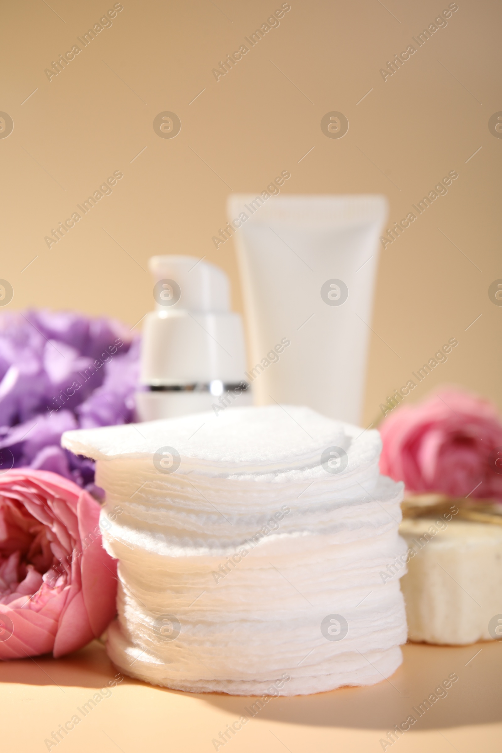 Photo of Cotton pads, cosmetic products and flowers on beige background, closeup