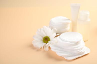 Photo of Cotton pads, cosmetic products and daisy flower on beige background, closeup. Space for text