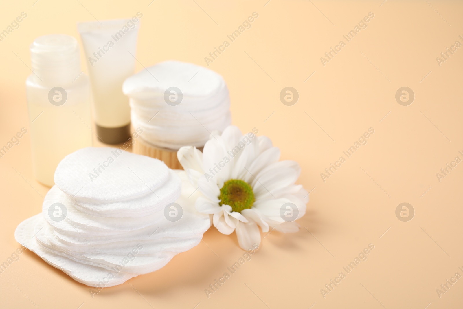 Photo of Cotton pads, cosmetic products and daisy flower on beige background, closeup. Space for text