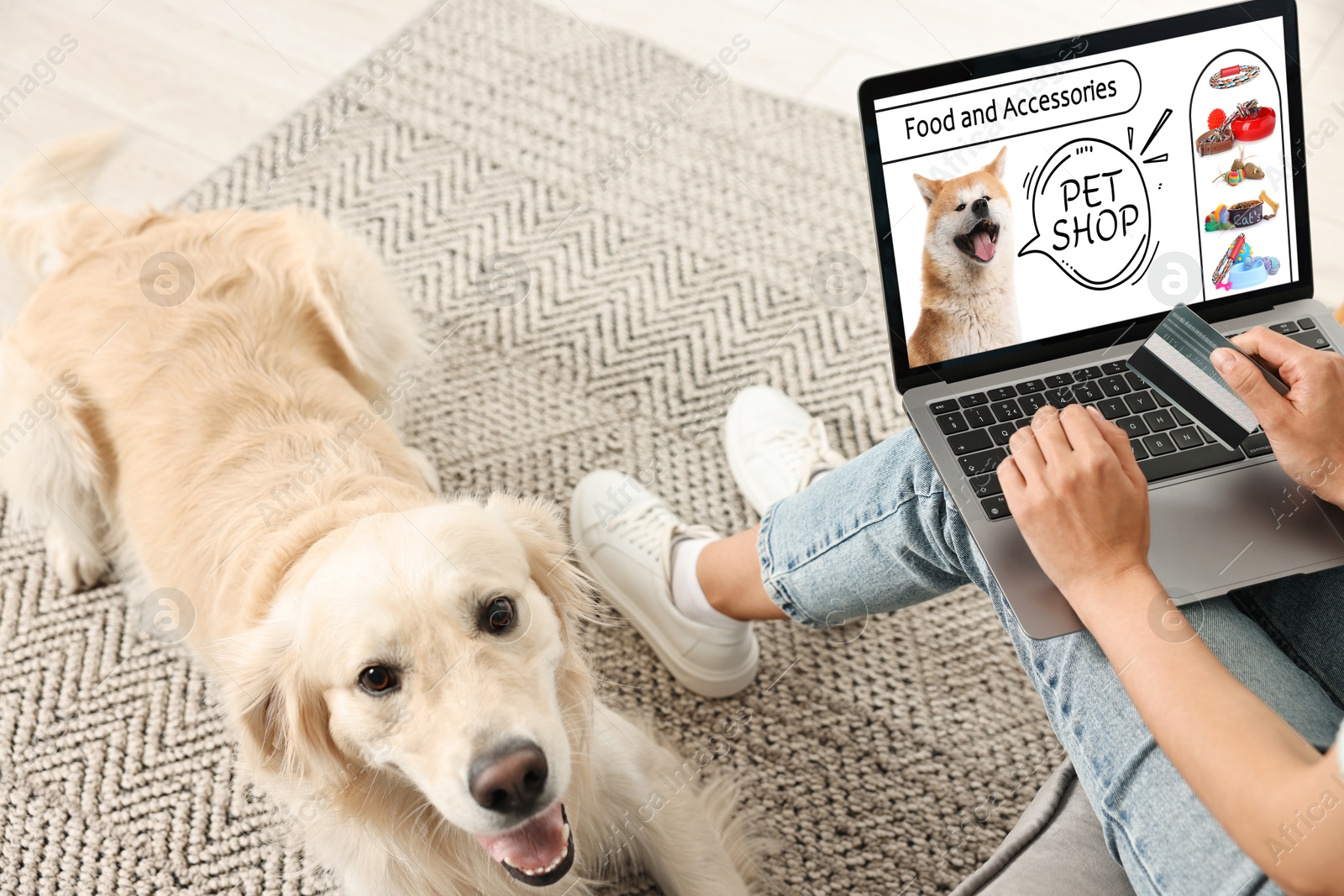 Image of Cute Labrador Retriever lying near owner, while she shopping online on laptop at home. Computer with open pet shop website