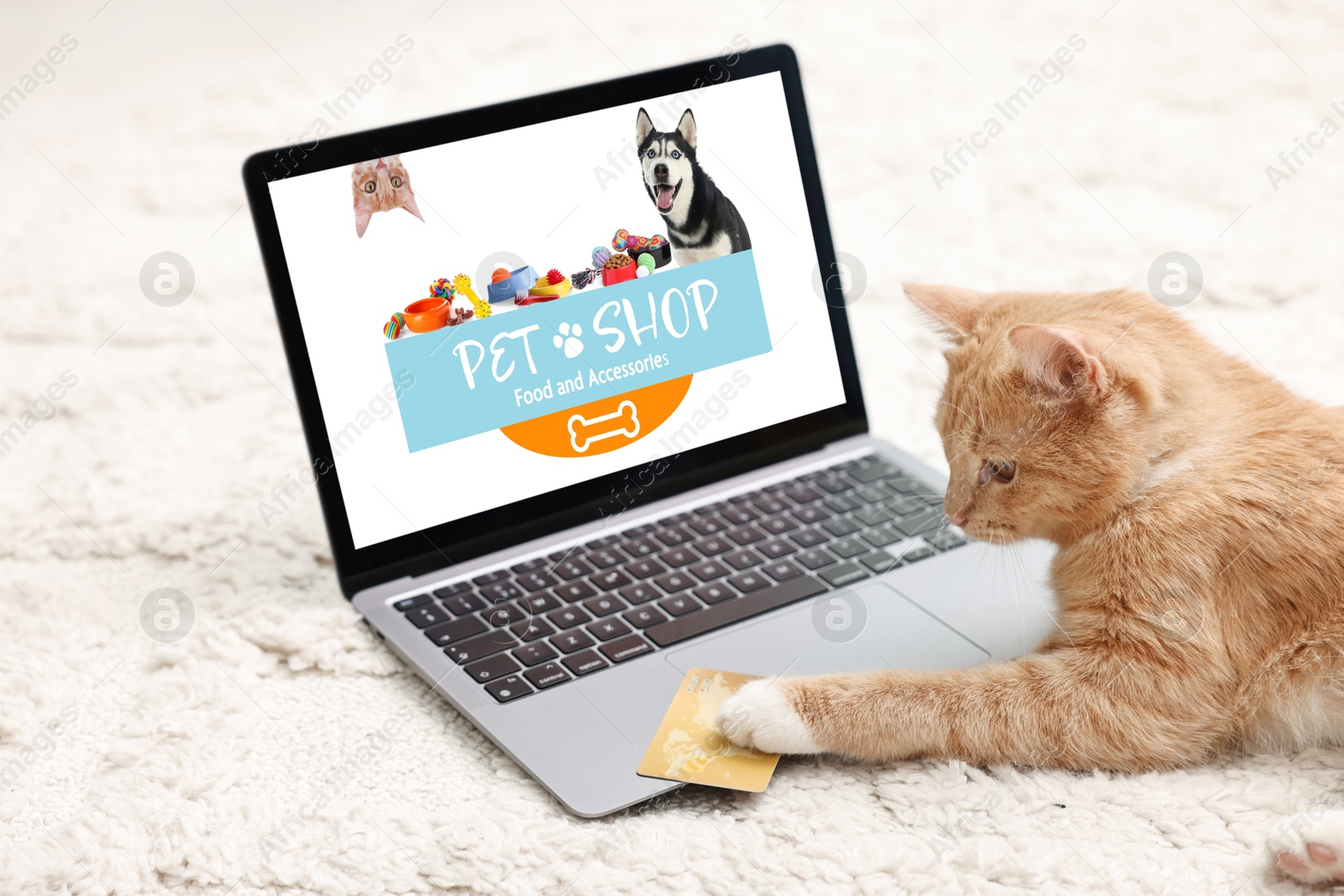 Image of Laptop with open online pet shop website. Cute ginger cat touching credit card with paw on computer at home