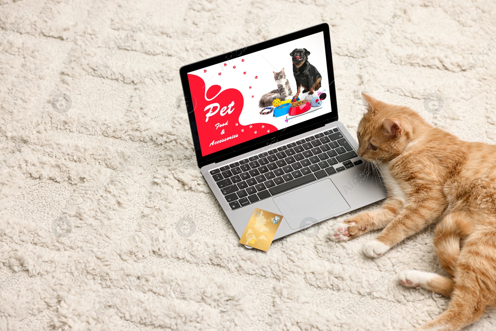 Image of Cute ginger cat near laptop with open online pet shop website on carpet