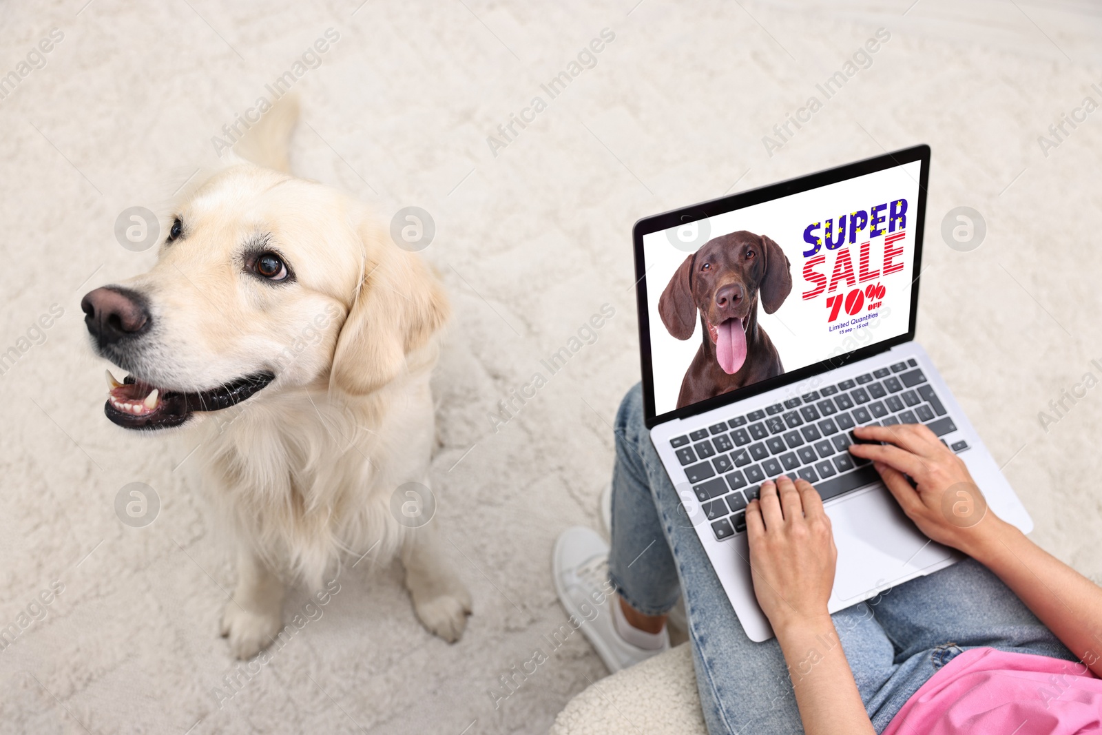 Image of Cute Labrador Retriever sitting near owner, while she shopping online on laptop at home. Computer with open pet shop website