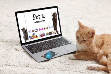 Image of Cute ginger cat near laptop with open online pet shop website on carpet