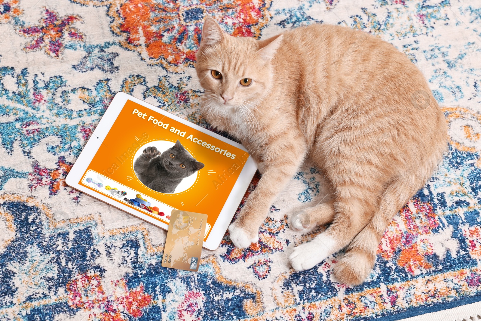 Image of Cute ginger cat near tablet with open online pet shop website on carpet