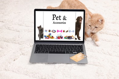 Image of Cute ginger cat near laptop with open online pet shop website on carpet