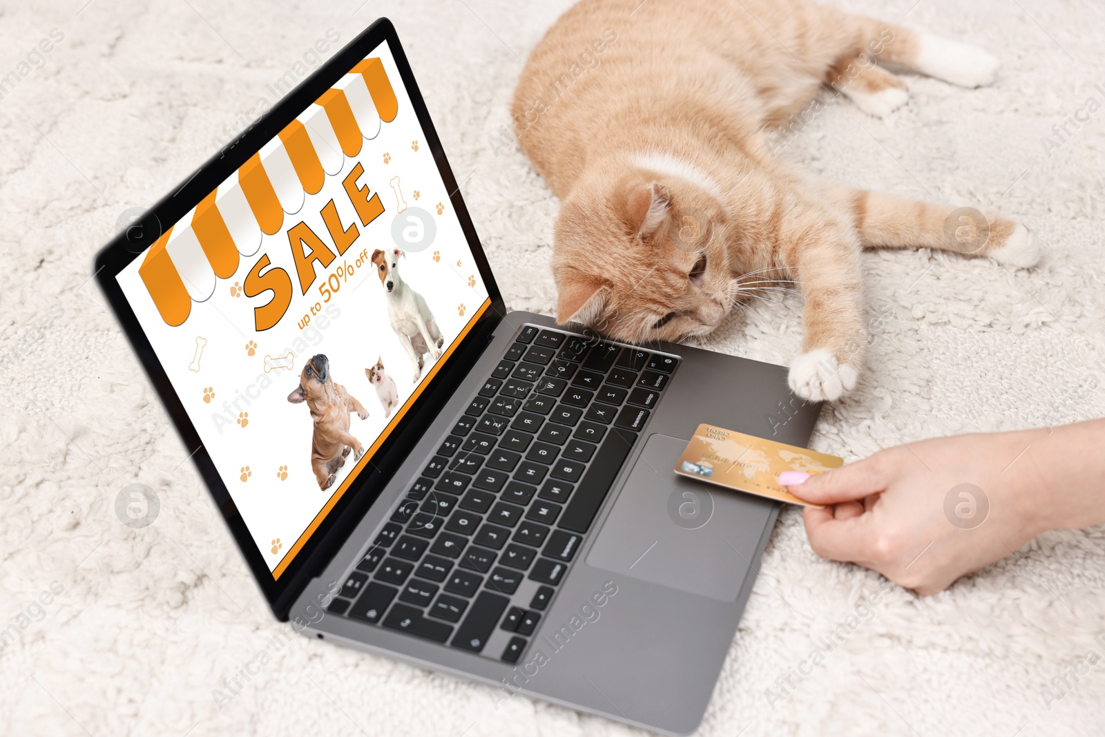 Image of Woman with her cute cat shopping online on laptop at home, closeup. Computer with open pet shop website