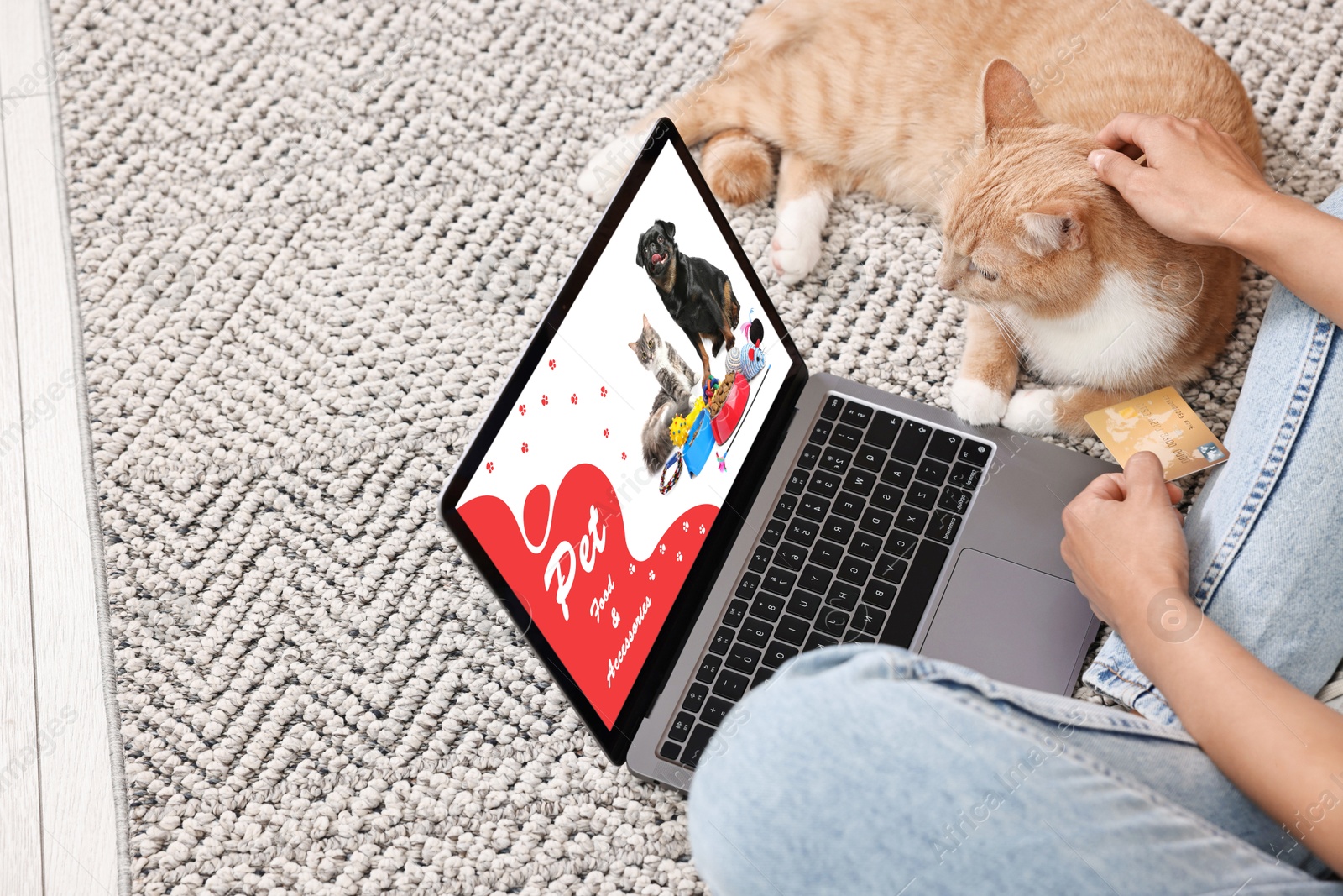 Image of Woman with her cute cat shopping online on laptop at home, closeup. Computer with open pet shop website