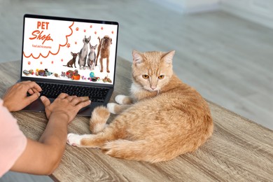 Image of Woman with her cute cat shopping online on laptop at home, closeup. Computer with open pet shop website