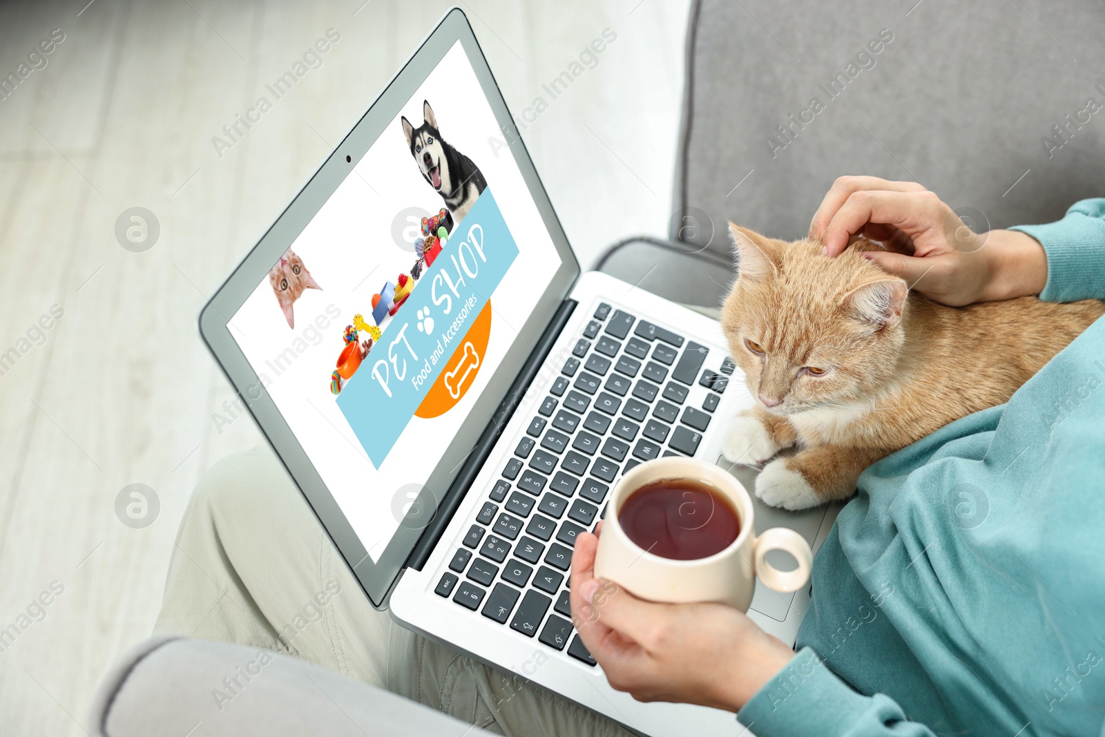 Image of Woman holding her cute cat while shopping online on laptop at home, closeup. Computer with open pet shop website