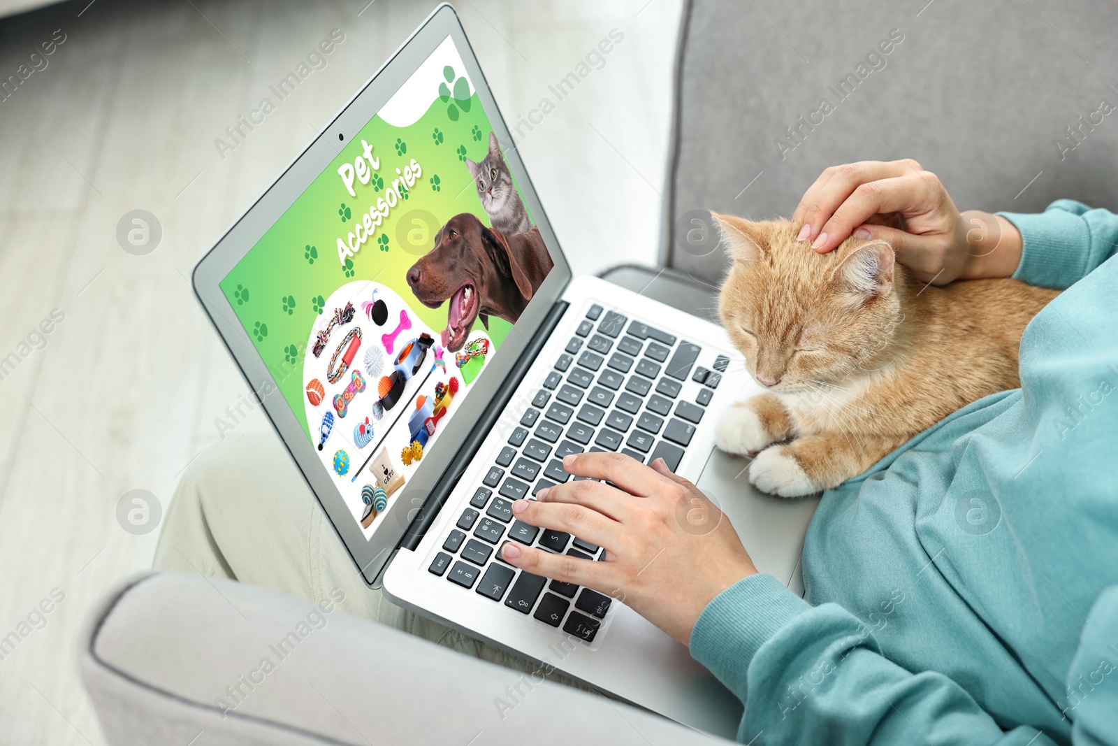 Image of Woman holding her cute cat while shopping online on laptop at home, closeup. Computer with open pet shop website