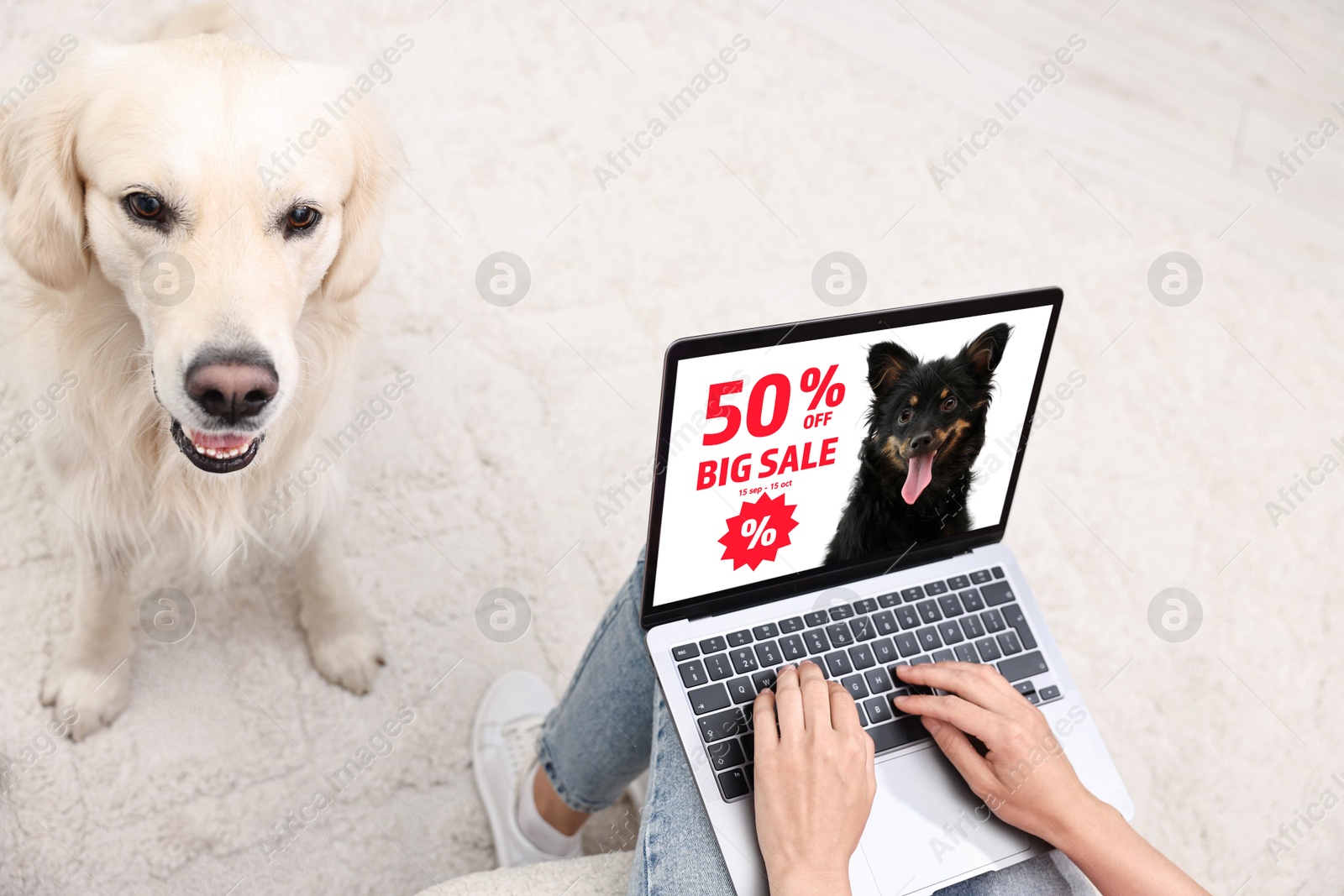 Image of Cute Labrador Retriever sitting near owner, while she shopping online on laptop at home. Computer with open pet shop website