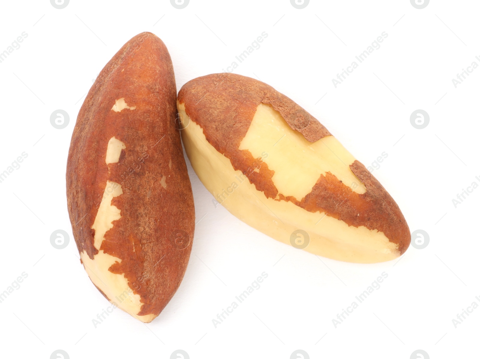 Photo of Two Brazil nuts isolated on white, top view