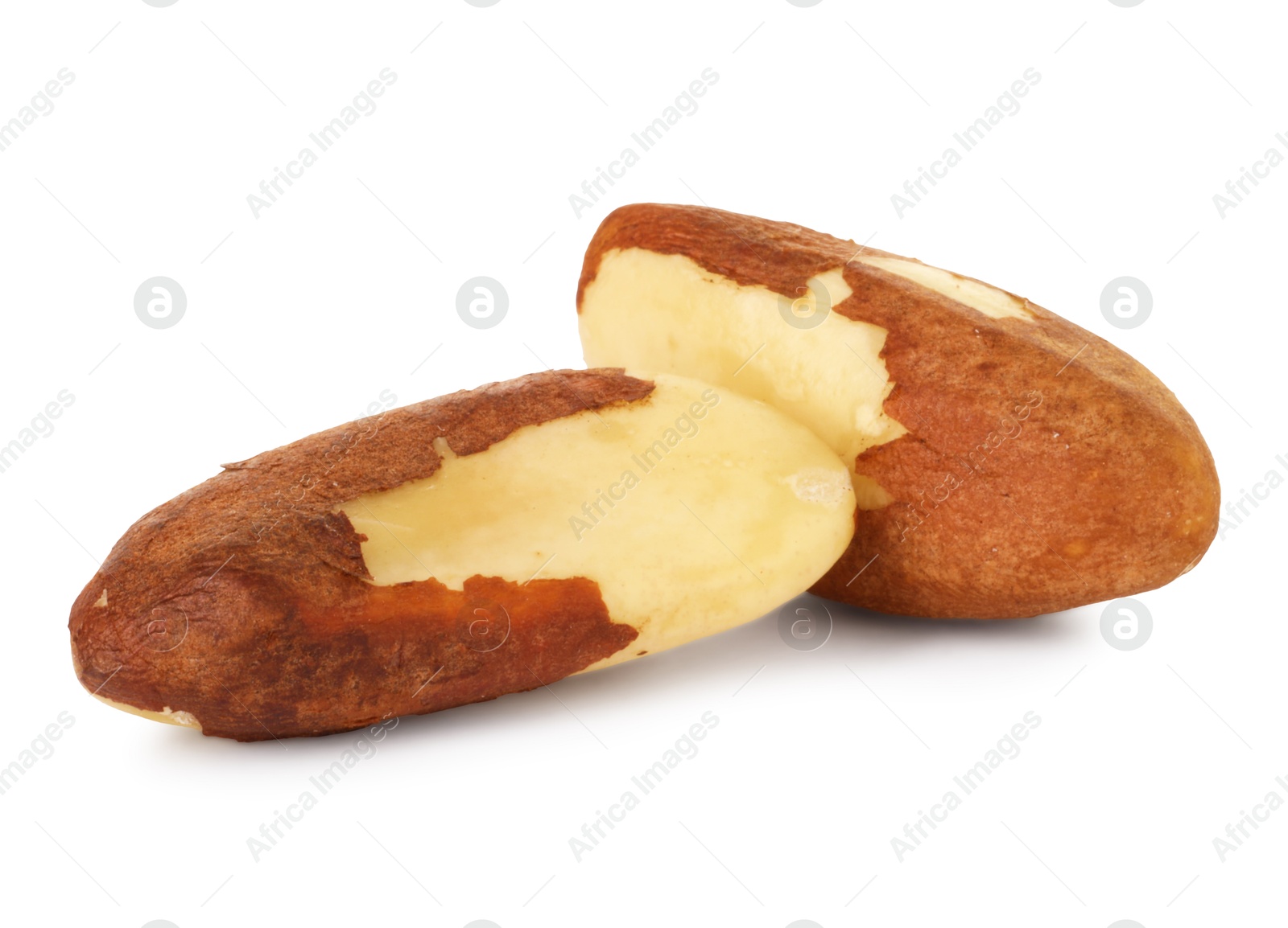 Photo of Two tasty Brazil nuts isolated on white