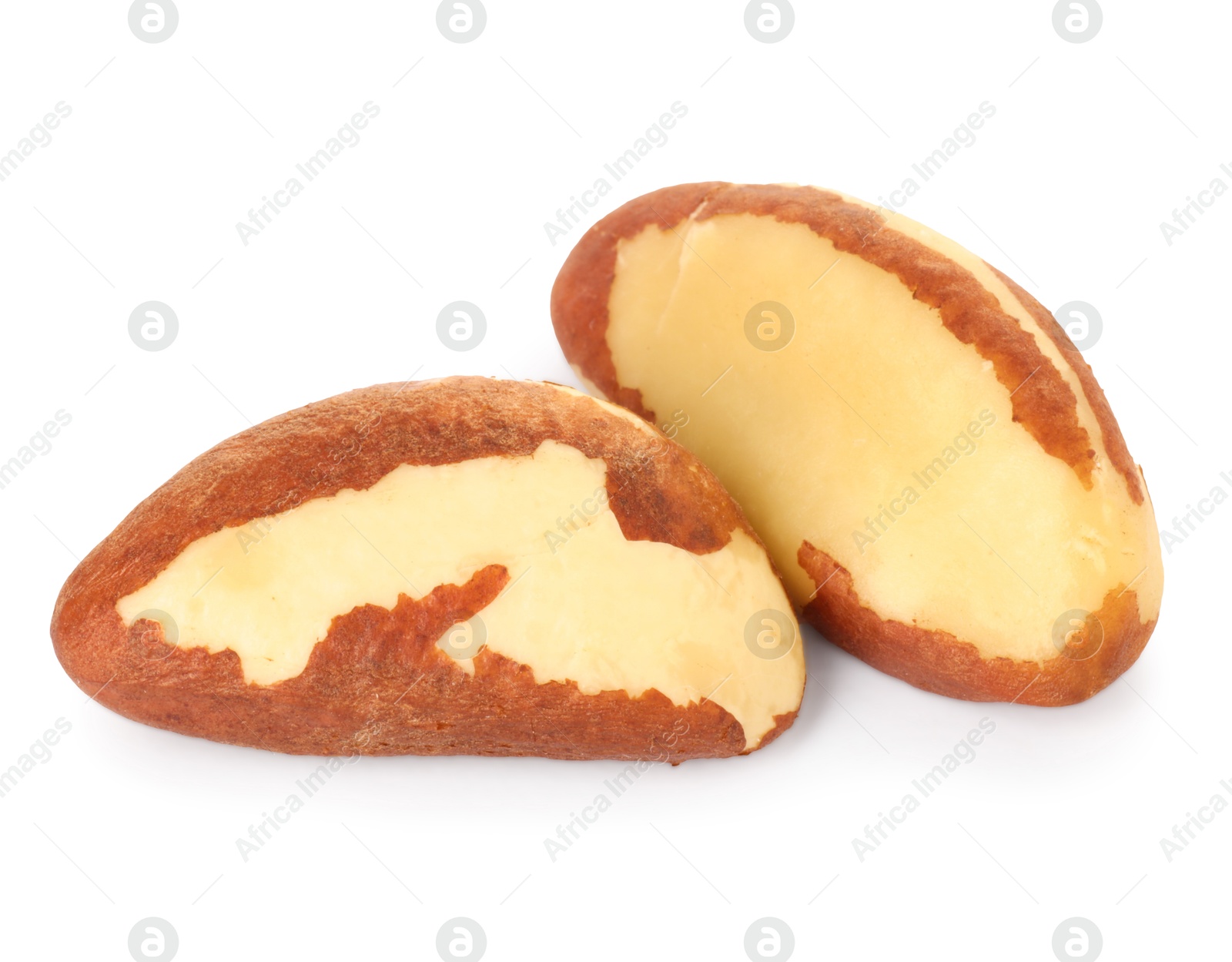 Photo of Two tasty Brazil nuts isolated on white