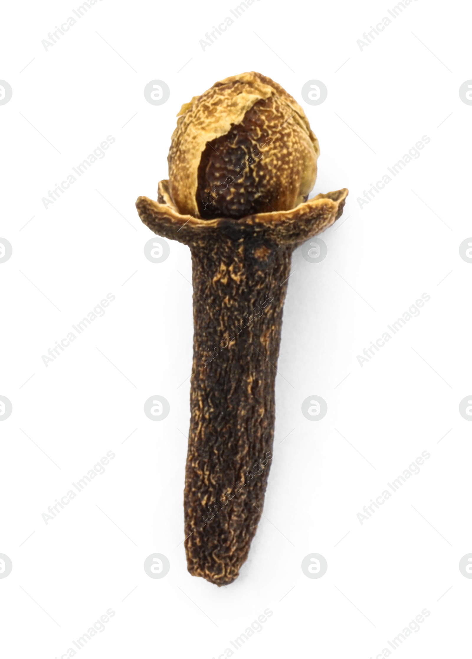 Photo of Aromatic spice. Dry clove bud isolated on white, top view